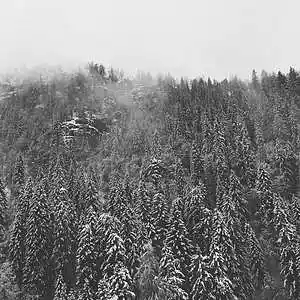 Picture for song 'Loqi' by artist 'ZERuvc'