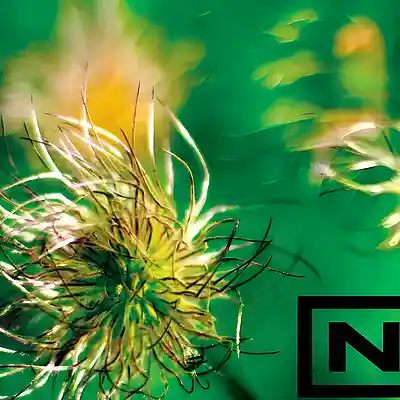 Picture for song '"ORGANIKA" NINE INCH NAILS INDUSTRIAL TYPE BEAT' by artist 'DevilleProducer'