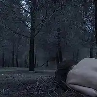 Picture for song 'Frame' by artist 'Forrest Beats'