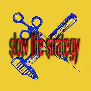 Picture for song 'slow life strategy' by artist 'Fusion Juice'