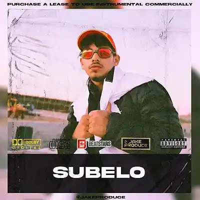 Picture for song '(SUBELO) Mc Buzzz x Milo J Type Beat FUNK BR' by artist 'Jake Produce'