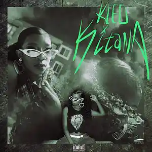 Picture for song 'Sleepin' by artist 'Kleo Kitana'