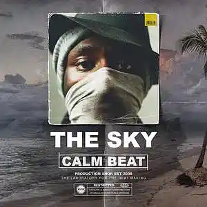 Picture for song 'The Sky Boom Bap Beat 2564' by artist 'Production Shop'