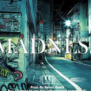 Picture for song 'Madness' by artist 'Reiver Beats'