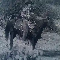 Picture for song 'Yeah cowboy up!' by artist 'Rocky Del Arnold'