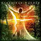 Picture for song 'Your Glory' by artist 'Scott Van Wagner'