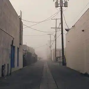 Picture for song 'Servin(Prod.whoDeany)' by artist 'whoDeanyBeatz'