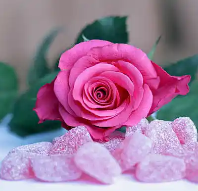 Picture for song 'Sugar Rose_Clint Lavens' by artist 'Clint Lavens'