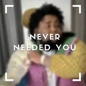Picture for song 'Never Needed You- Sold!' by artist 'Exclusive DJ Beatz'