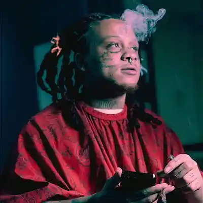 Picture for song 'BLACK BLOOM' by artist 'HOLLYWOOD LEGEND PRODUCTIONS'