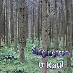 Picture for song 'Witch in the Woods' by artist 'KAUL'