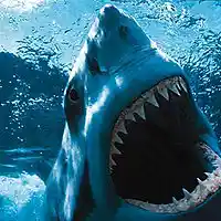 Picture for song 'Attack (Rap Beat)' by artist 'Mozart Jones Productions (Mozarts Beats)'