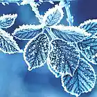 Picture for song 'KeauxLD' by artist 'NuVeaux Rich'