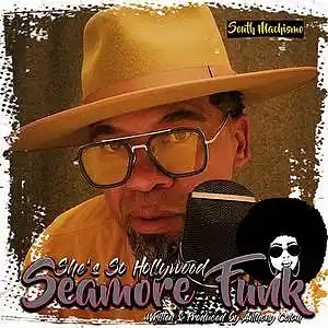 Picture for song '(Prince influenced me) She's So Hollywood' by artist 'Seamore Funk'