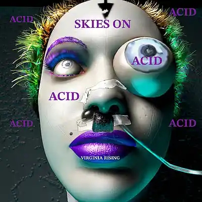 Song picture of 'Skies On Acid'