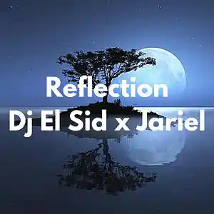 Picture for song 'Reflection (Chris Brown Type Beat)' by artist 'Dj El Sid'