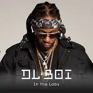Picture for song 'In the laby (FREE D/L)' by artist 'DL Boi'