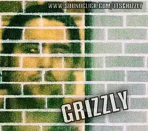 Picture for song 'Akoestische opname project' by artist 'It's Grizzly'