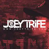 Picture for song 'Serenity **NEW** SOUND ORIGINAL!' by artist 'Joey Trife'