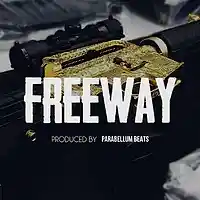 Picture for song 'Freeway' by artist 'Parabellum Beats'