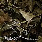 Picture for song 'Nothing Lasts' by artist 'Paradox (Irish Grunge)'