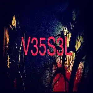 Picture for song 'THERE-IS-NEED-FOR-ALARM' by artist 'V 35 53 L'