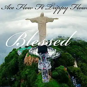 Picture for song 'Ace flow- Blessed ft Trippy Flowz' by artist 'Ace Flow'