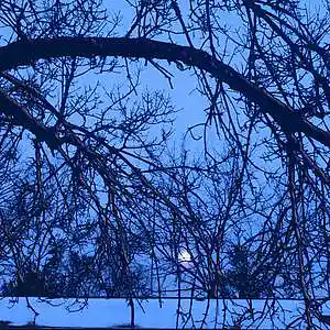 Picture for song 'The Beautiful Presentation' by artist 'AuDioChosis - Steven F. Allen - AuDio MiRage'