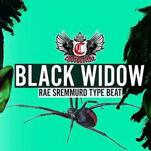Picture for song 'Black Widow (Rae Sremmurd type beat)' by artist 'Chorderline'