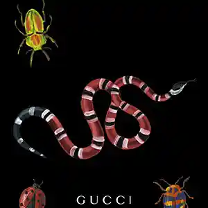 Picture for song 'FREE TRIPPIE REDD X JUICE WRLD TYPE BEAT' by artist 'drrre3qedferfwesaf'
