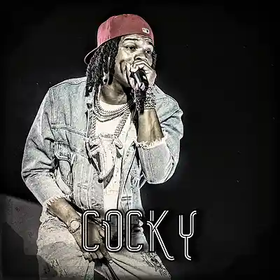 Picture for song '*Cocky* - Street Melodies (Buy 2 Get 1 Free)' by artist 'Elbr'