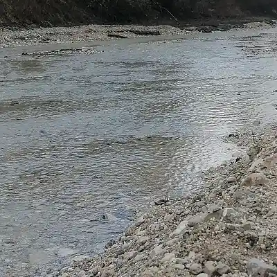 Picture for song '20250401_104857_FS_Y_Al_LaHs_w_aFFe' by artist '786 scheint-Al'lahs Bande'