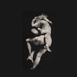 Picture for song 'embrace' by artist 'BeatsCraze'