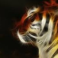 Picture for song '1st Instrumental FREE Beat' by artist 'BrandonBeeman'