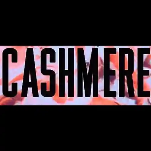 Picture for song 'Ca$hmere - Come back' by artist 'Cashmere Brown Beats'