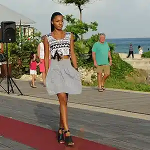 Picture for song 'Catwalk Caper' by artist 'Darren J Semple'