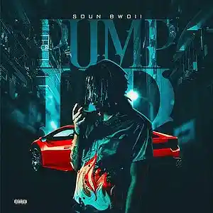 Picture for song 'Soun Bwoii - Pump Up (D-Money On The Beat Remix)' by artist 'D-Money On The Beat'