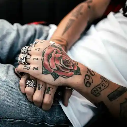 cover pic