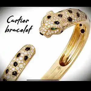 Picture for song 'Cartier bracelet' by artist 'Jaydakid'