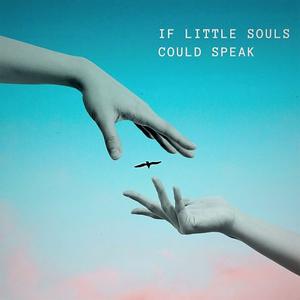 Picture for song 'If Little Souls Could Speak (Acoustic Version)' by artist 'John Stea Song Writer'