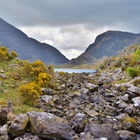 Picture for song 'Ascensione' by artist 'Joseph Smith'