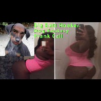 Picture for song 'Big Butt Hooker Dog Roleplay' by artist 'JoshPranks'