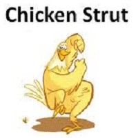 Picture for song 'Chicken Strut' by artist 'Michael Duran'