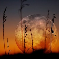 Picture for song 'Blessings Remix ' by artist 'Northern King'