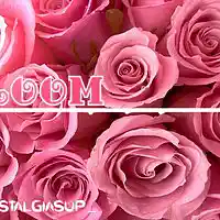 Picture for song 'Bloom (Prod.Nostalgia Supreme) ' by artist 'Nostalgia Supreme'