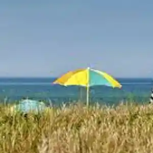 Picture for song 'Nantucket Land Company: Off To Laramie' by artist 'paul gorman and the hypnotist collectors'