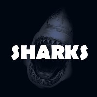 Picture for song 'Sharks / Trap Drill *Only 99$ Exclusive*' by artist 'Playlife'