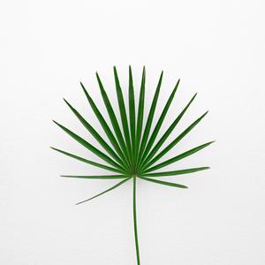 Picture for song 'Phone' by artist 'P.R Beats'