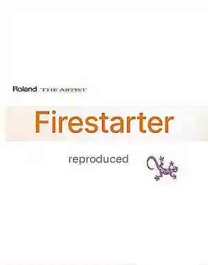 Picture for song 'Firestarter 2025 (C&P) Demo' by artist 'Roland The Artist'