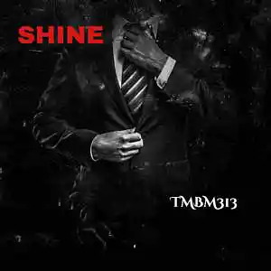 Picture for song 'Shine' by artist 'TMBM313'